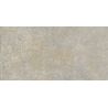 Arezzo gris